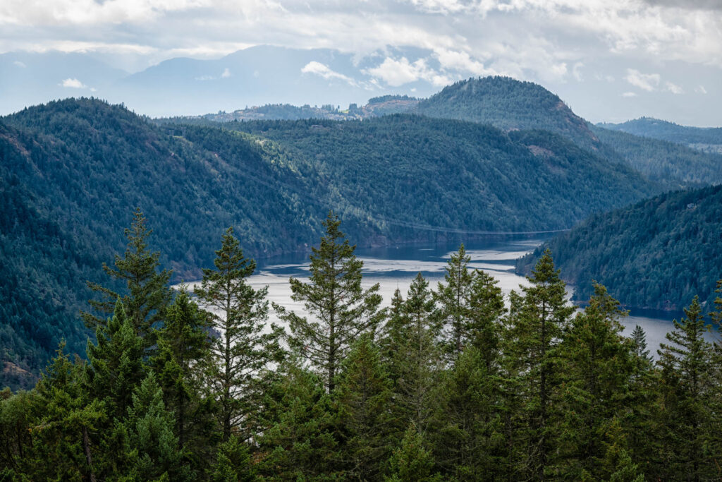 Malahat Bay | Focus On Mee | Robert Mee