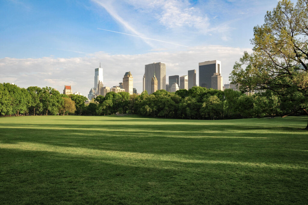 Manhattan in the distance... | Focus On Mee | Robert Mee