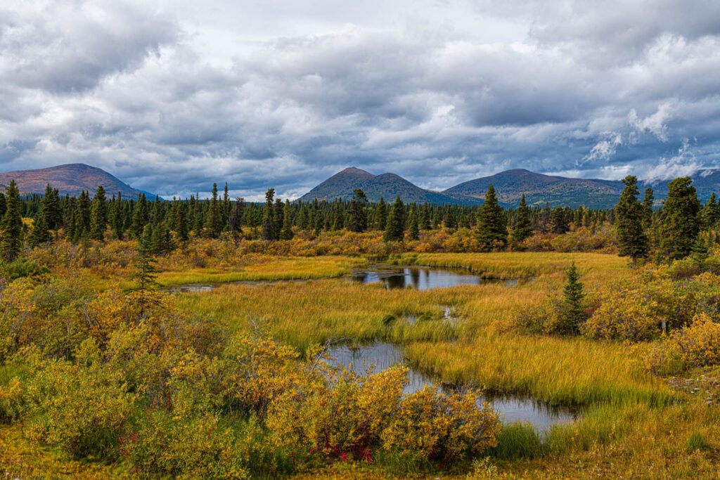 Marsh at Fish Lake near the Sky High Wilderness Ranch | Focus On Mee | Robert Mee