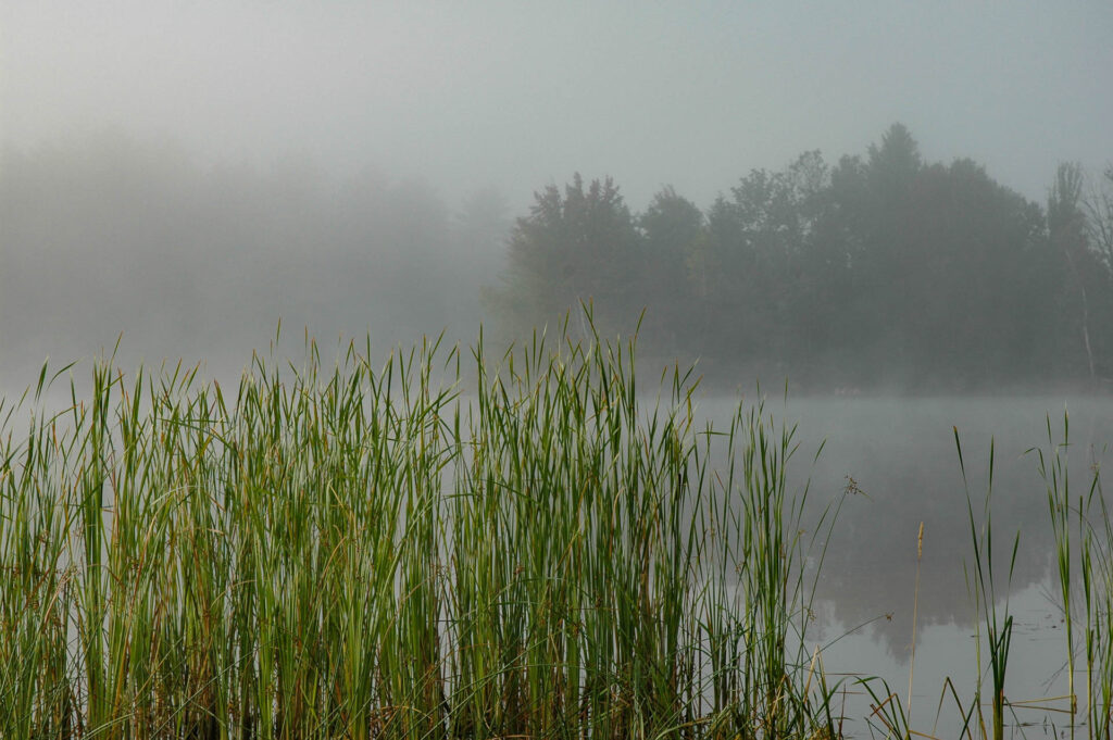 Mississauga River at the Catchacoma Lake put-in | Focus On Mee | Robert Mee