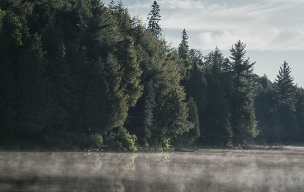 Morning on Ralph Bice Lake | Focus On Mee | Robert Mee