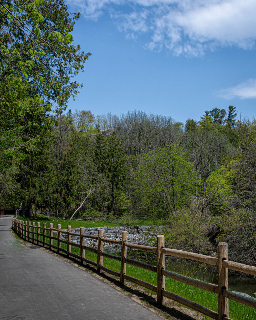 Morningside Park - Highland Creek | Focus On Mee | Robert Mee