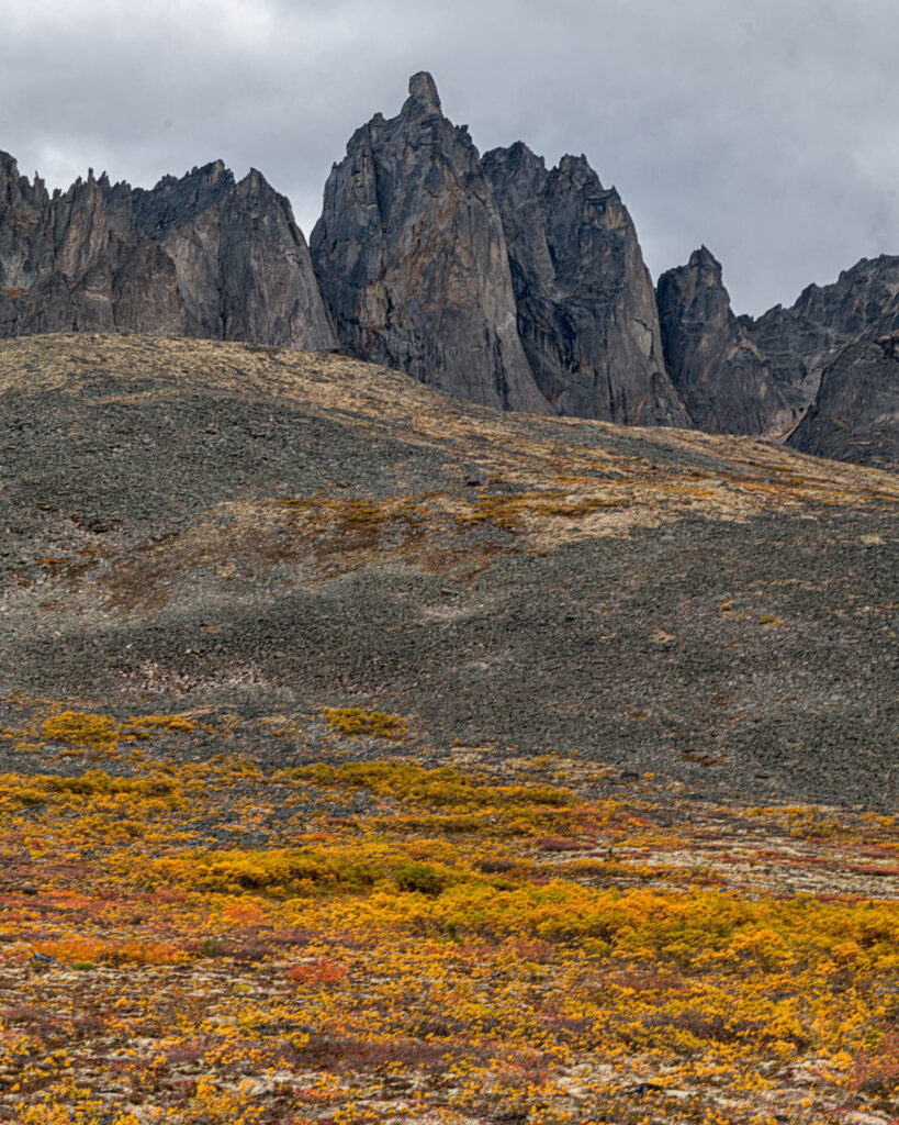 Mount Monolith | Focus On Mee | Robert Mee