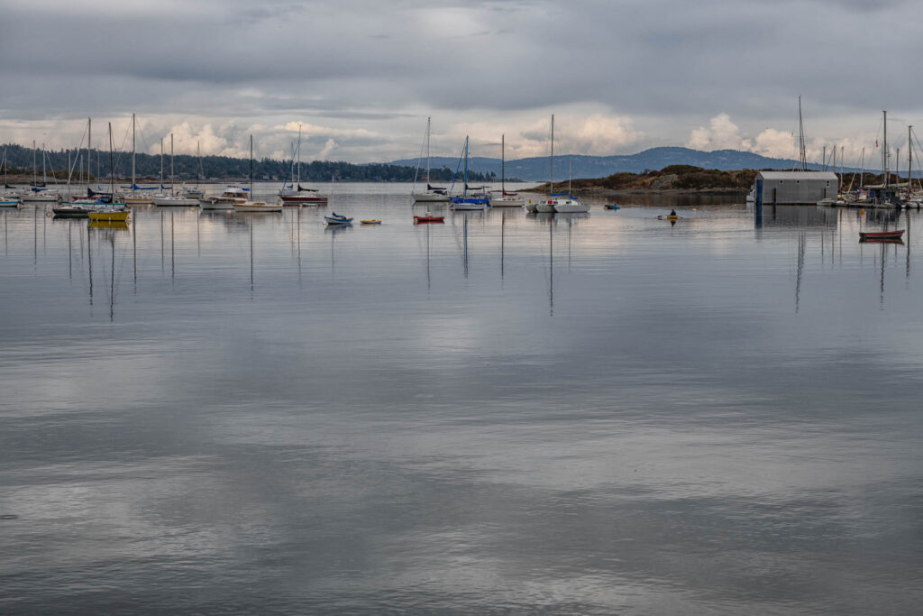 Oak Bay Marina, Victoria | Focus On Mee | Robert Mee