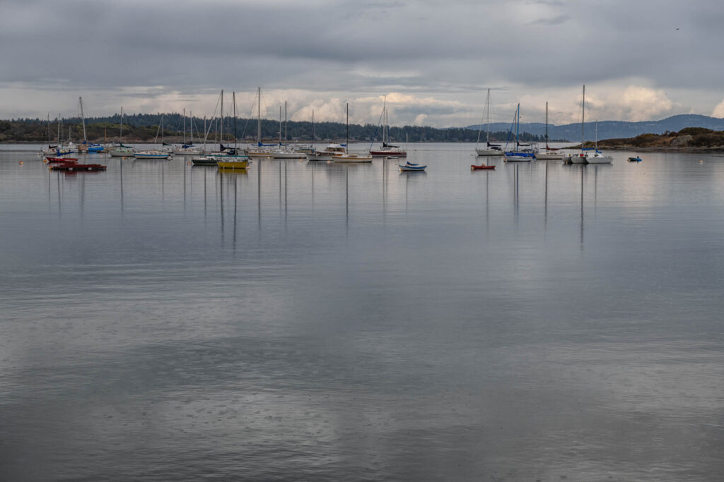 Oak Bay Marina, Victoria | Focus On Mee | Robert Mee