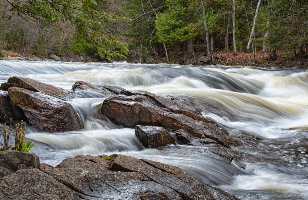 Oxtongue Rapids | Focus On Mee | Robert Mee