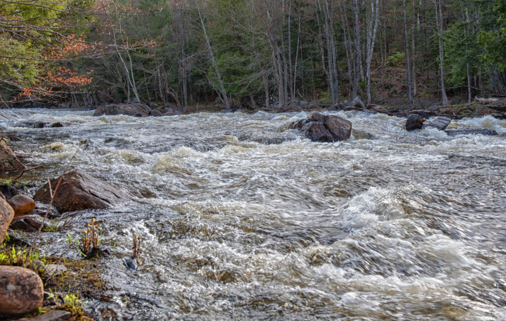 Oxtongue Rapids | Focus On Mee | Robert Mee