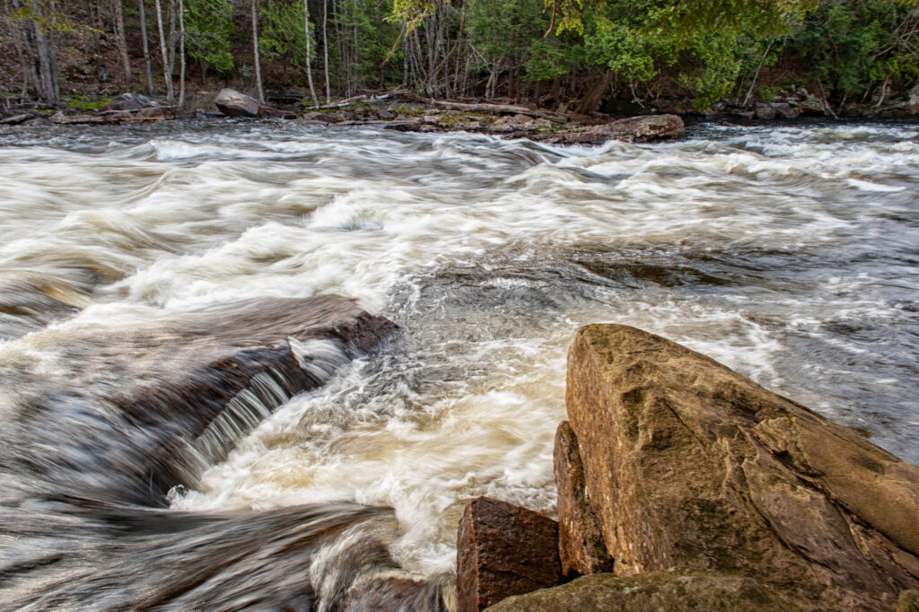 Oxtongue Rapids | Focus On Mee | Robert Mee