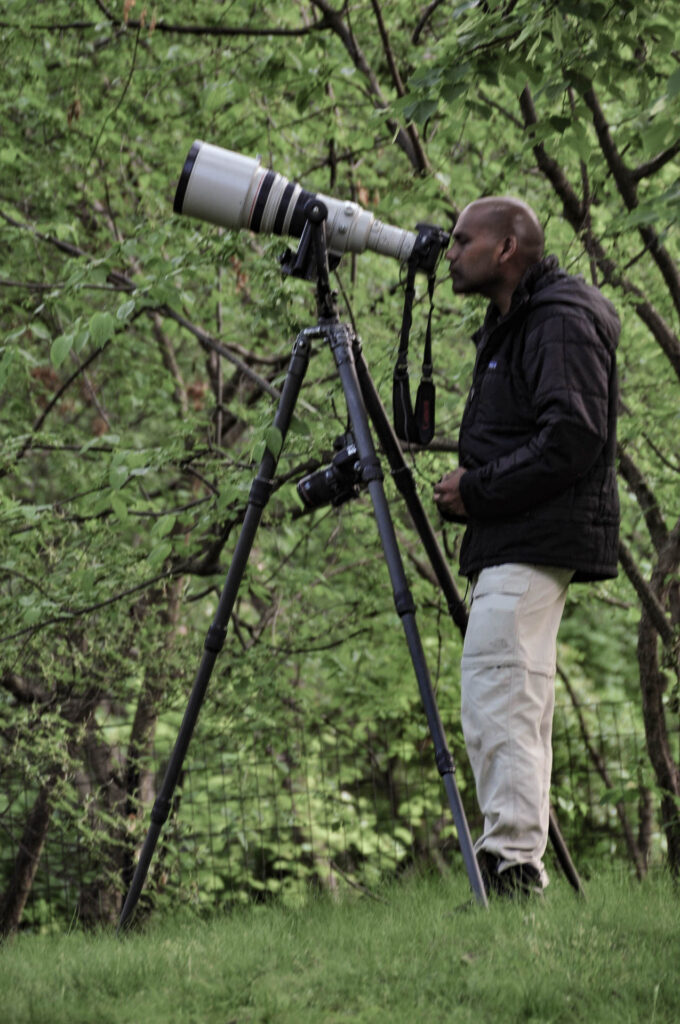 Photographing a Bald Eagle - great patience required! | Focus On Mee | Robert Mee