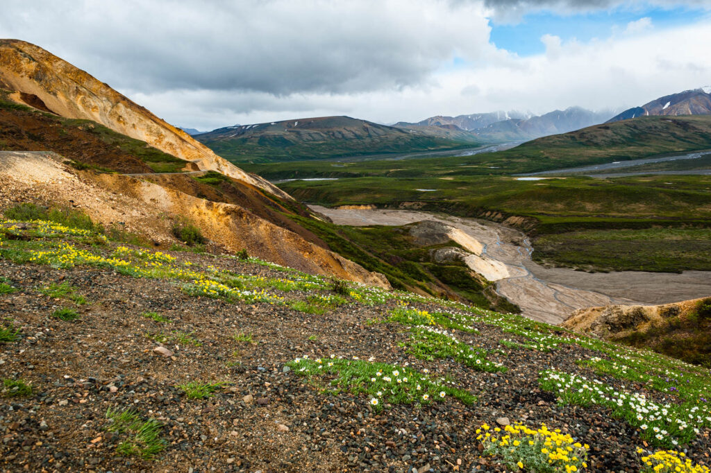 Polychrome Pass, Alaska