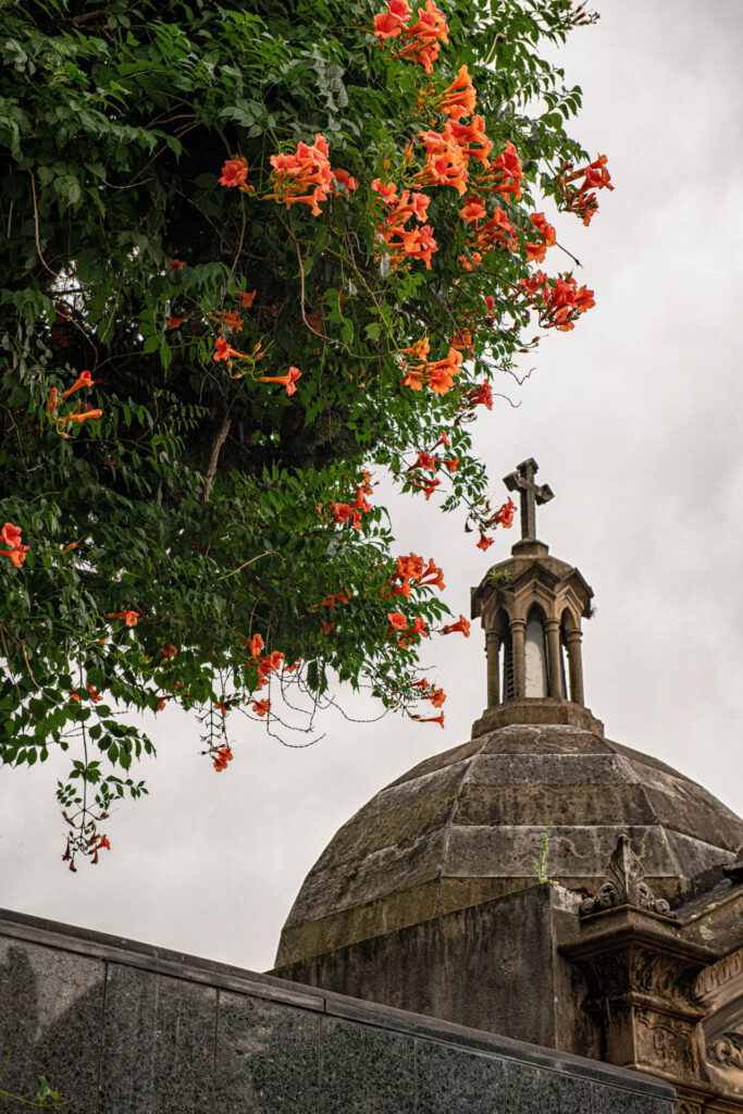 Recoleta Cemetery | Focus On Mee | Robert Mee