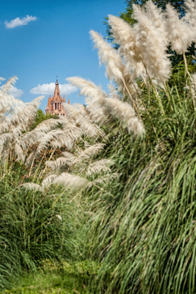 Rosewood Hotel - garden | Focus On Mee | Robert Mee