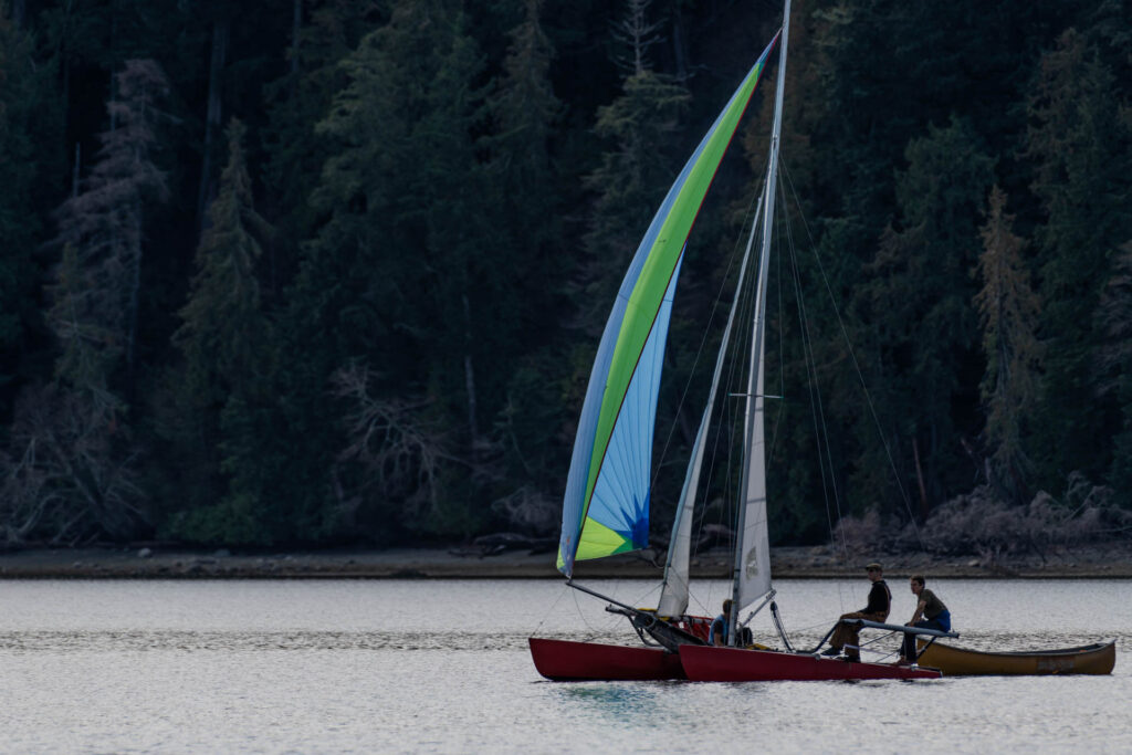 Sailing in Gorge Harbour | Focus On Mee | Robert Mee