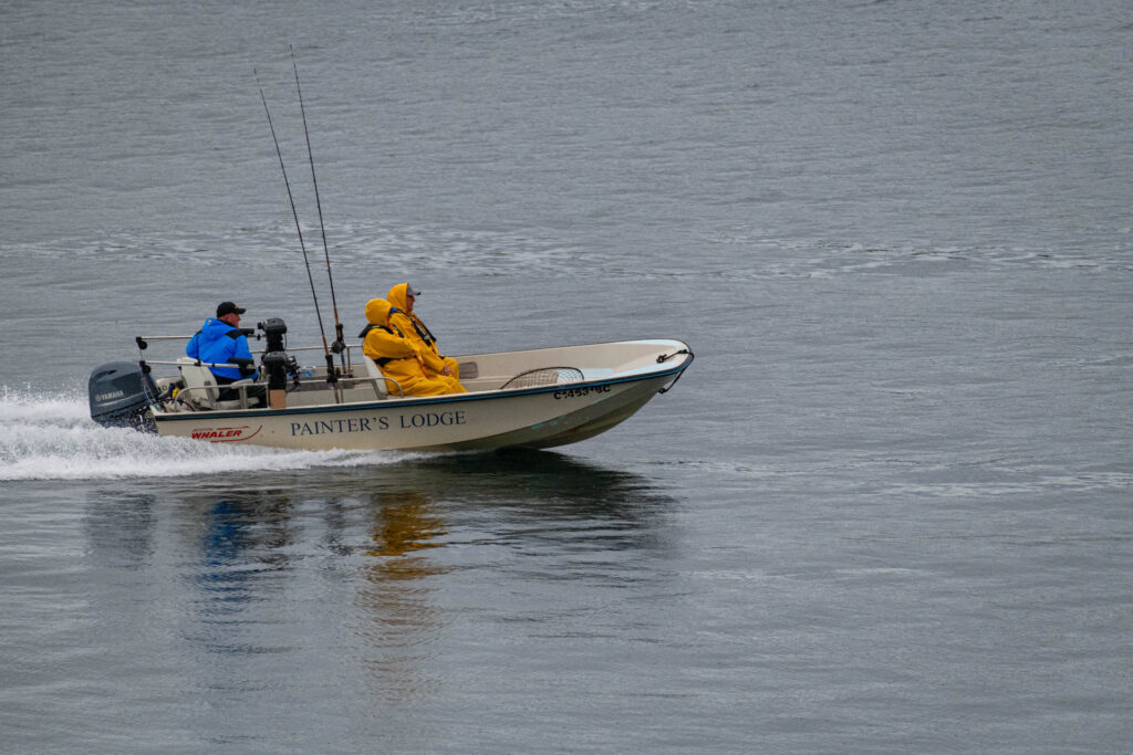 Salmon fishing excursion near Campbell River | Focus On Mee | Robert Mee