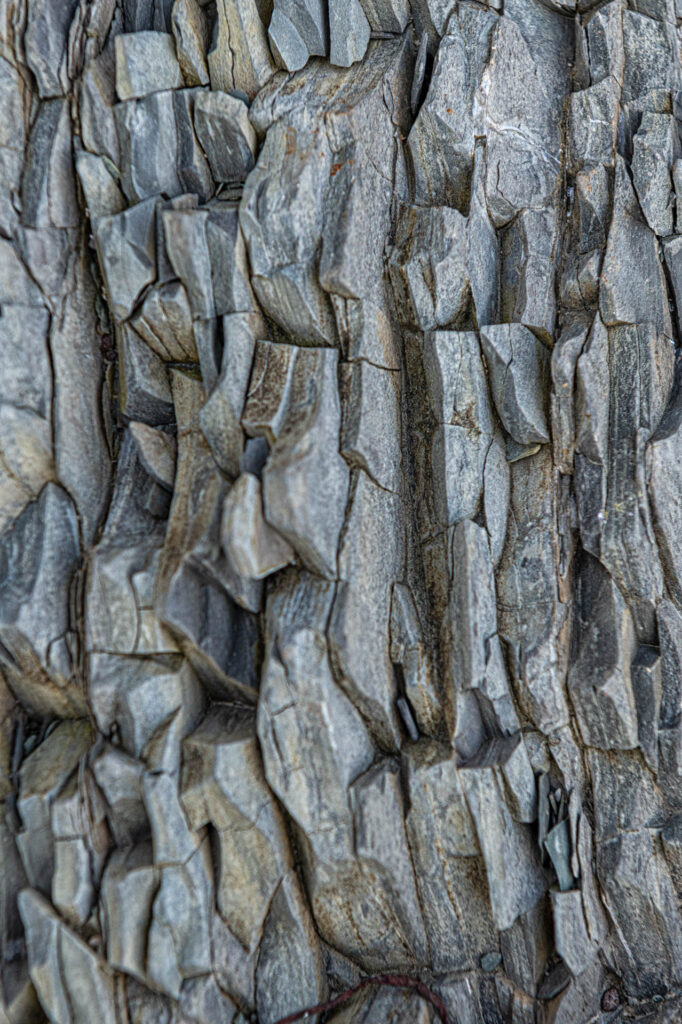 Sedimentary layers at Green Point | Focus On Mee | Robert Mee