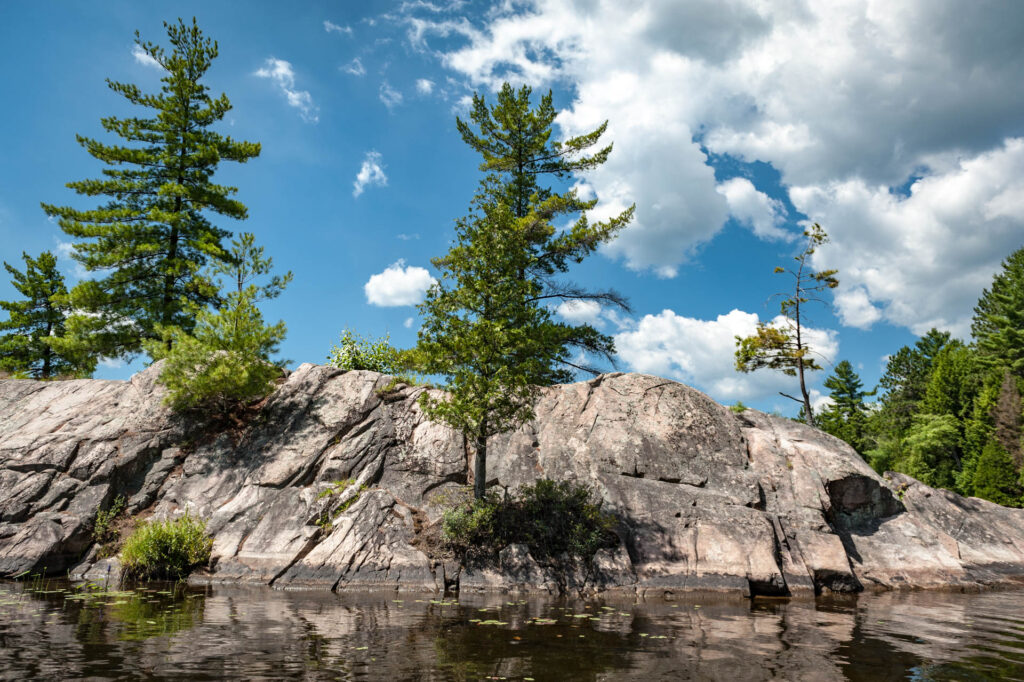 Silent Lake PP | Focus On Mee | Robert Mee