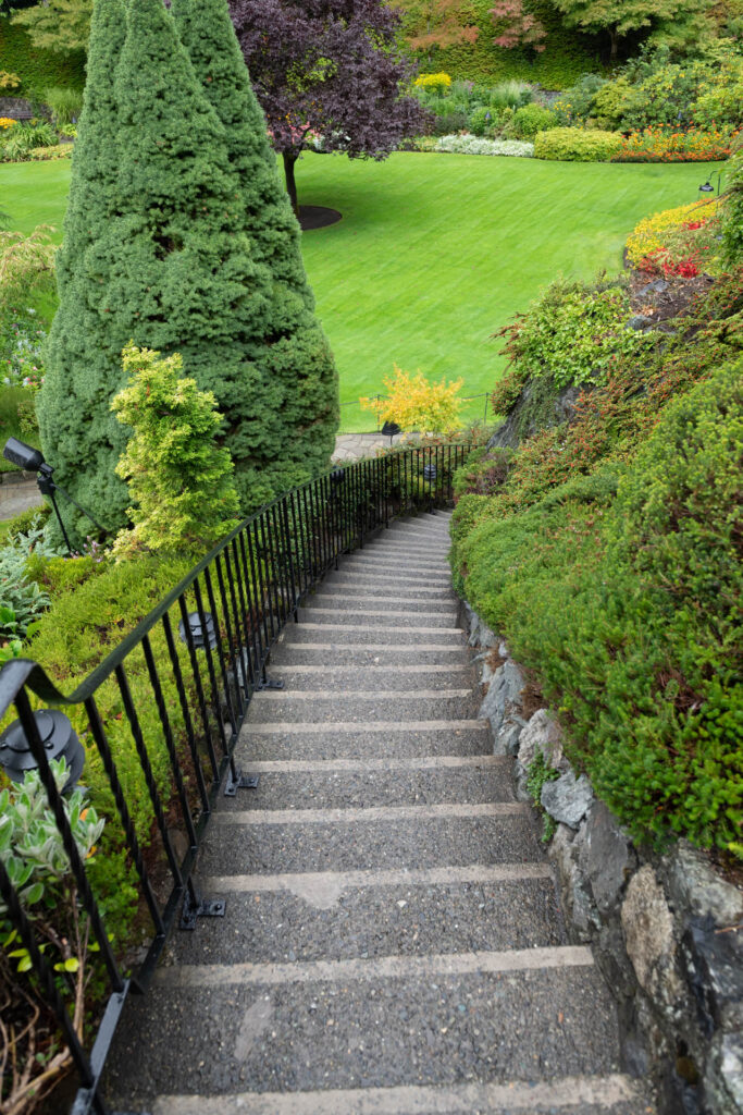 &quot;Stairway from Heaven&quot; | Focus On Mee | Robert Mee