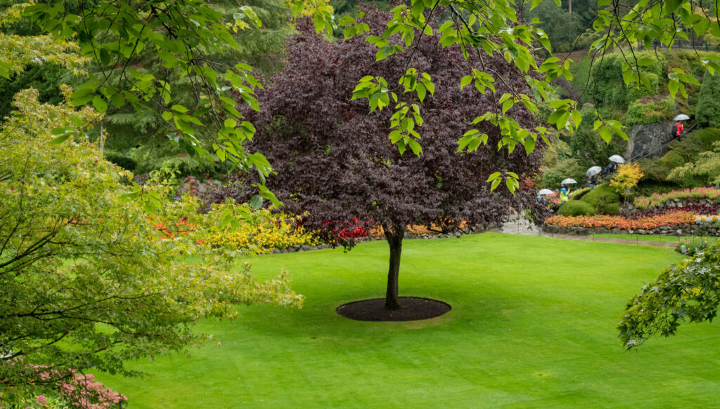 Sunken garden at Butchart Gardens | Focus On Mee | Robert Mee