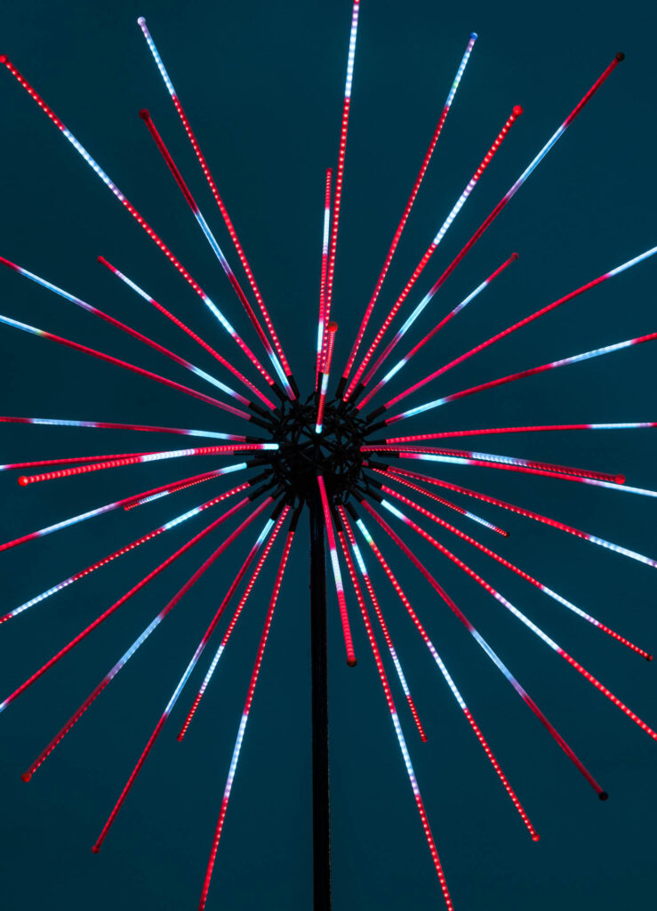 The Electric Dandelion
by Abram Santa Cruz - Distillery District | Focus On Mee | Robert Mee