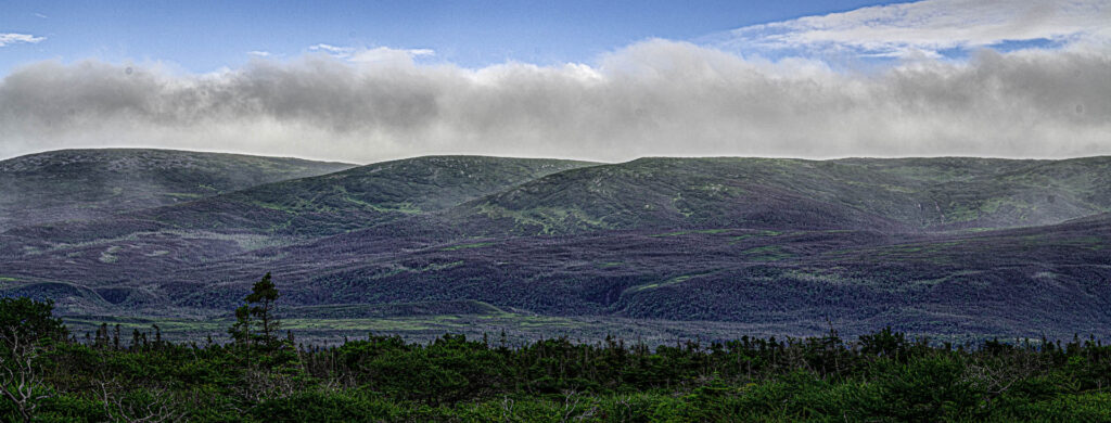 The Long Range Mountains | Focus On Mee | Robert Mee