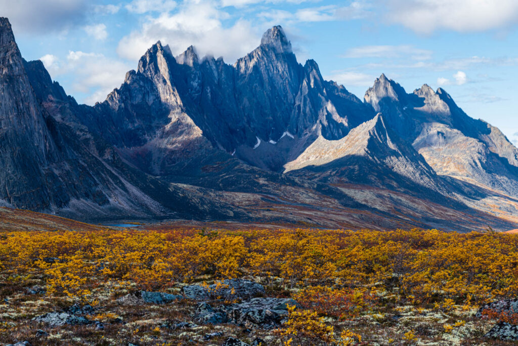 Tombstone Mountain | Focus On Mee | Robert Mee