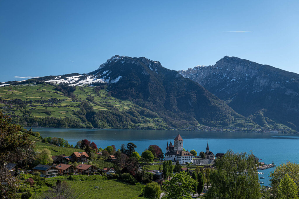 Town of Speiz on Lake thu | Focus On Mee | Robert Mee