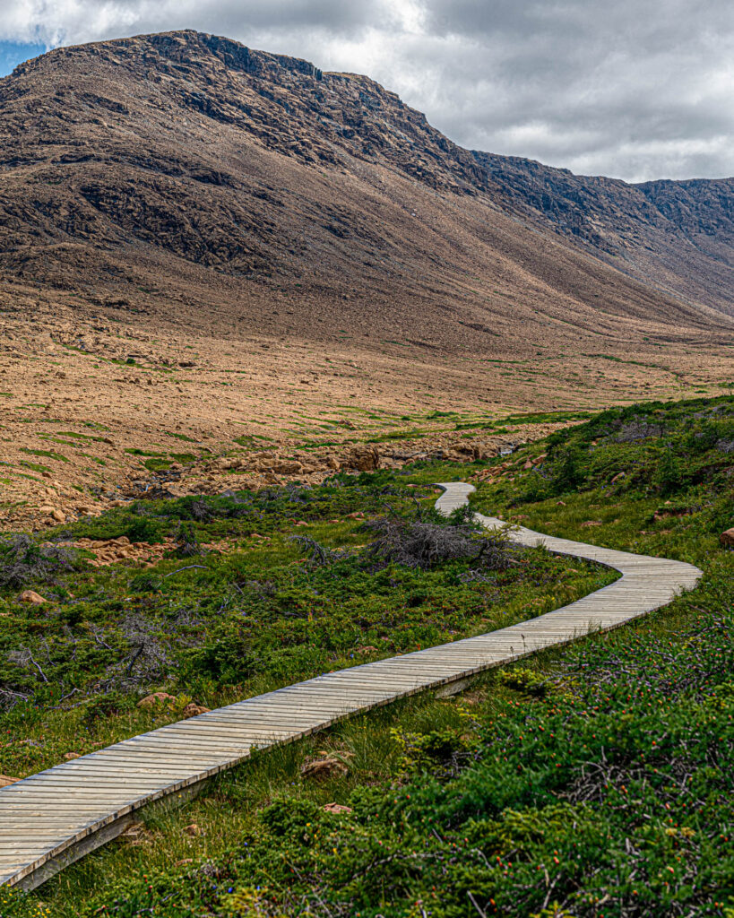 Trail at Winter House Brook Canyon | Focus On Mee | Robert Mee