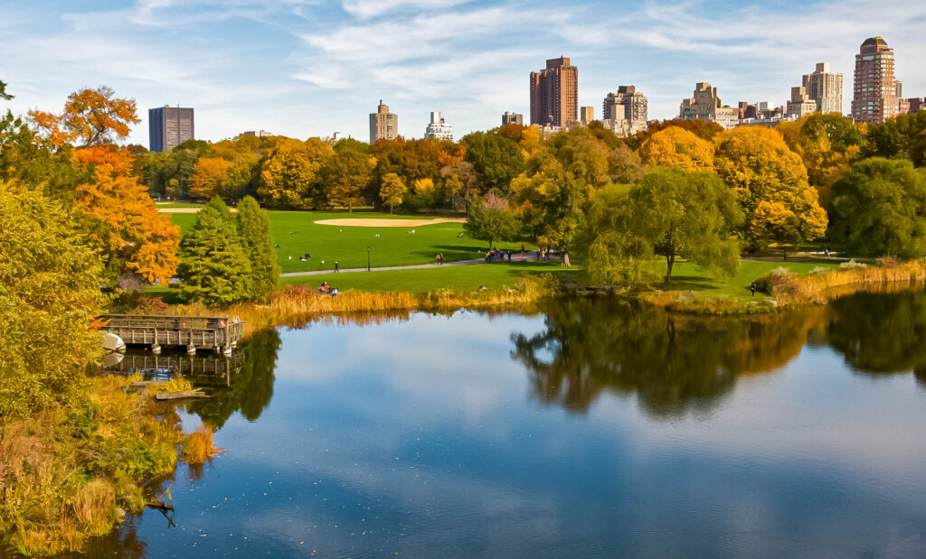 View from Belvedere Castle - Central Park | Focus On Mee | Robert Mee