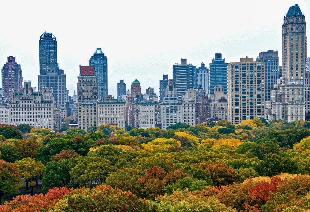 View of Central Park and Manhattan | Focus On Mee | Robert Mee