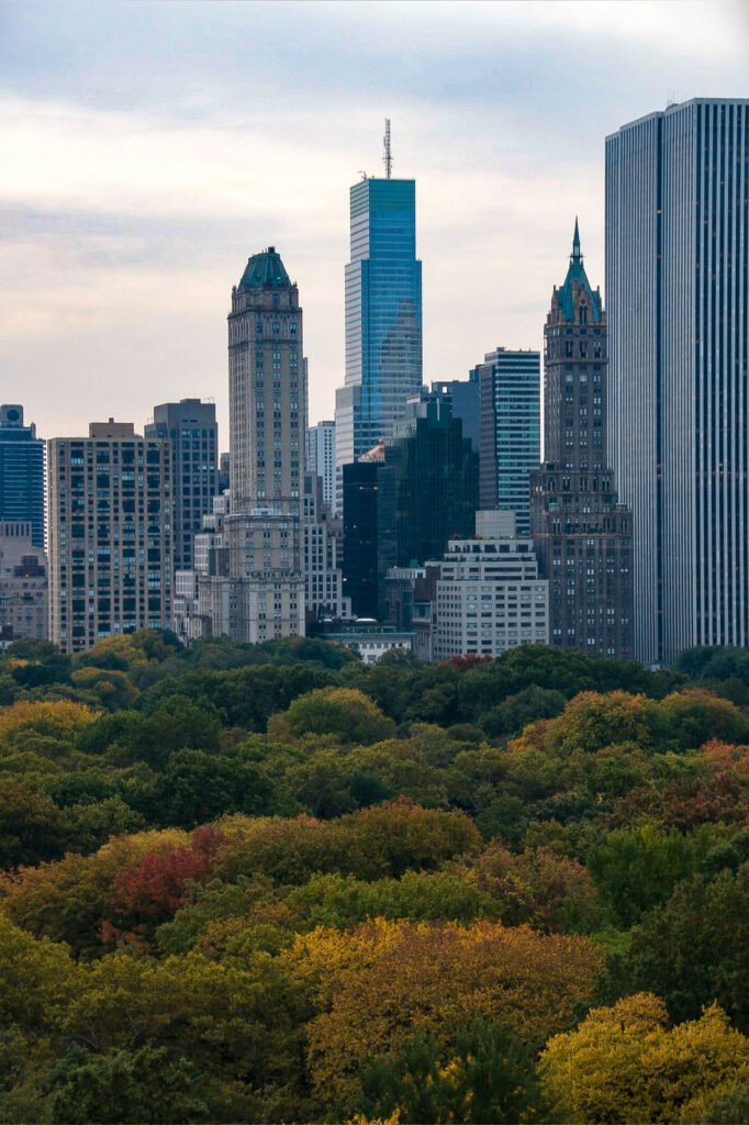 View of Central Park and Manhattan | Focus On Mee | Robert Mee