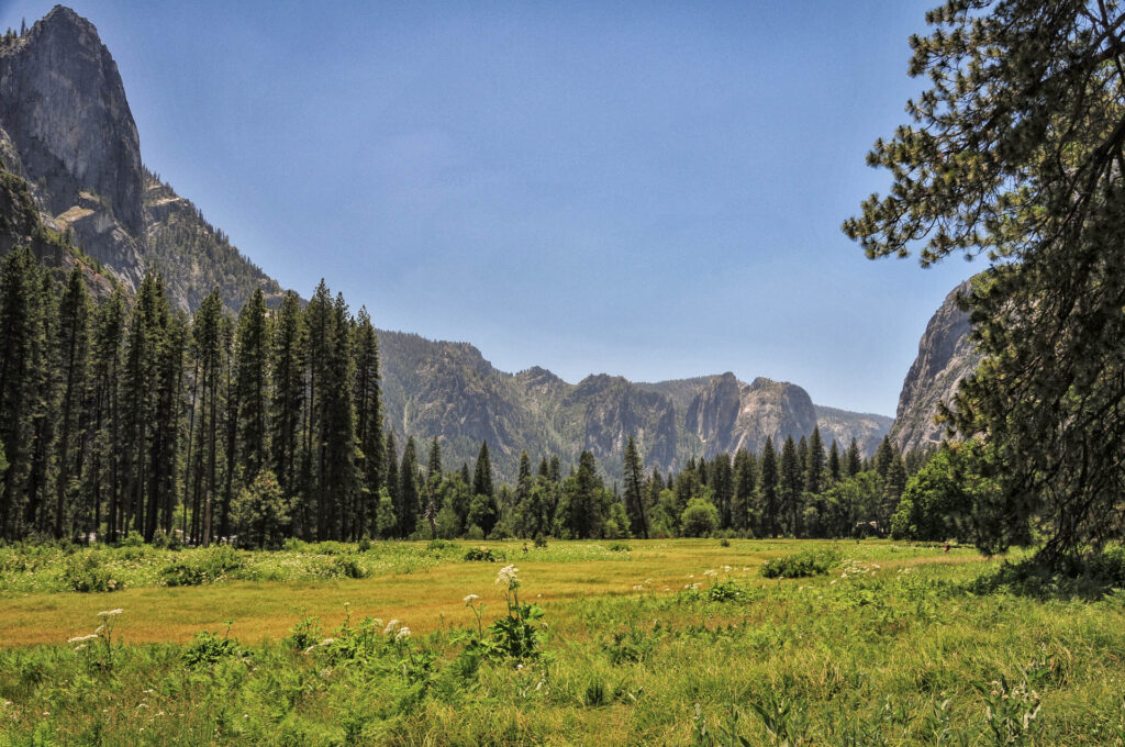 View of Half Dome from the Ahwahnee | Focus On Mee | Robert Mee