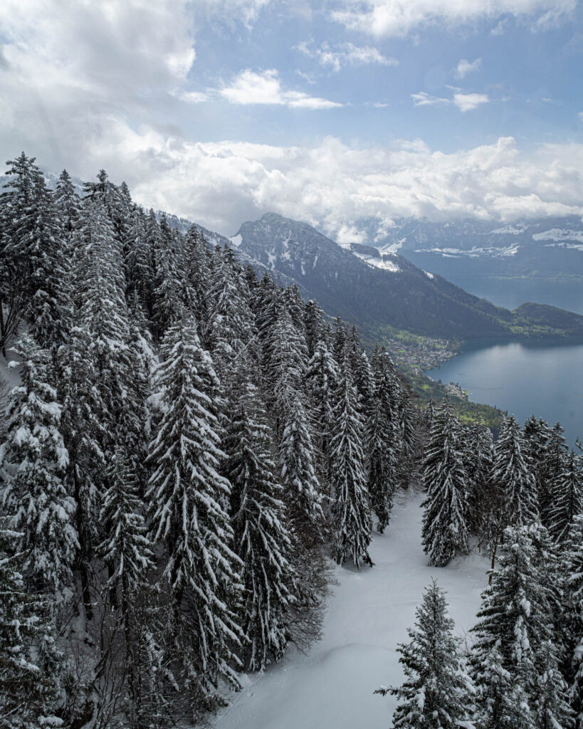 View of Lake Lucerne from the Cable Car on Rigi Mountain | Focus On Mee | Robert Mee