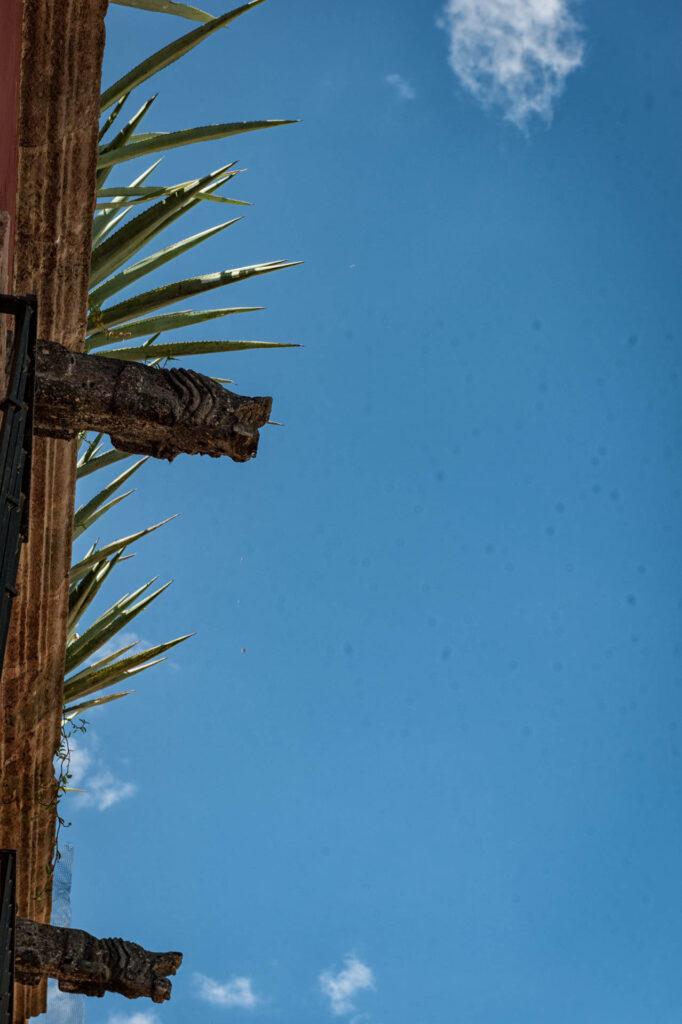 Water spouts | Focus On Mee | Robert Mee