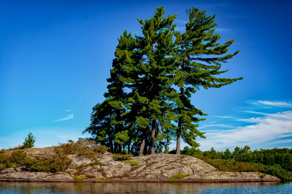 Wolf Lake | Focus On Mee | Robert Mee