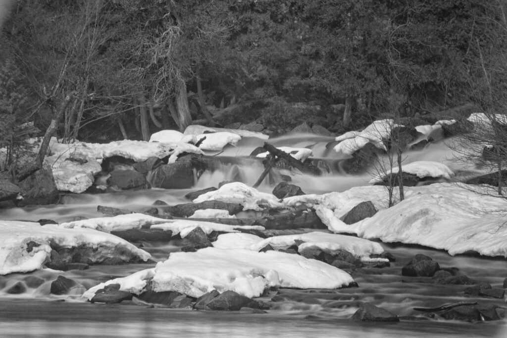 Oxtongue Rapids | Focus On Mee | Robert Mee