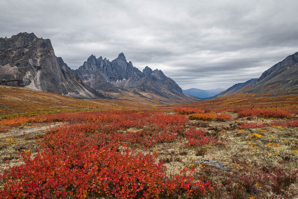 Talus Lake valley with a view of Tombstone Mountain