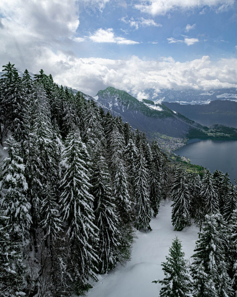 View of Lake Lucerne from the Cable Car on Rigi Mountain