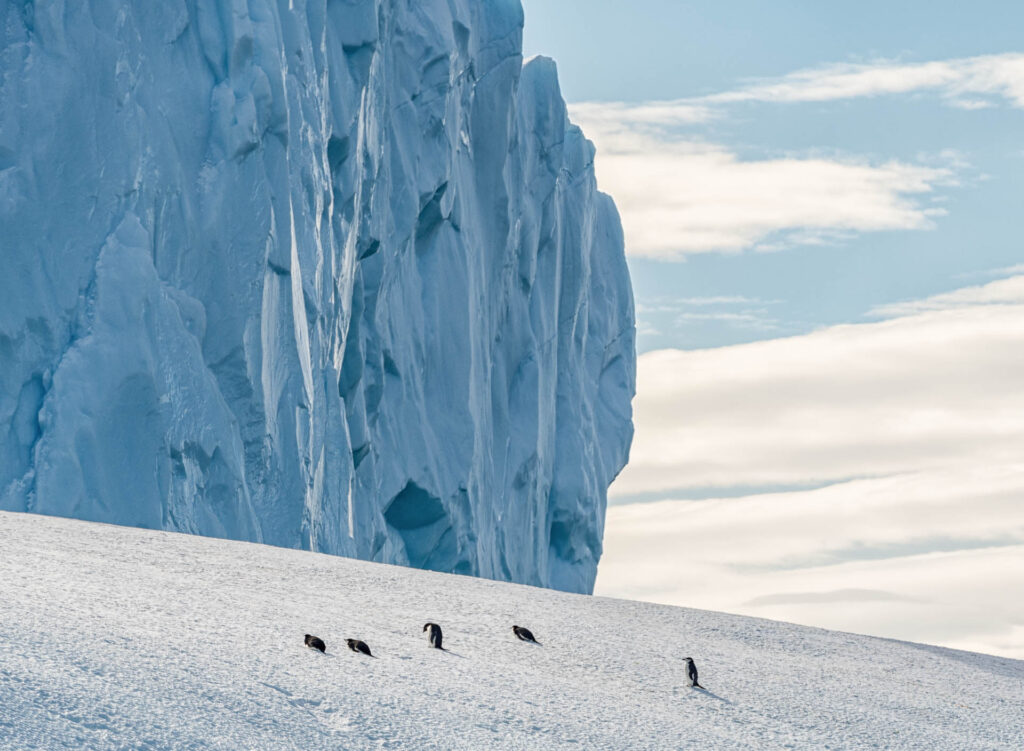 Iceberg near Spert Island