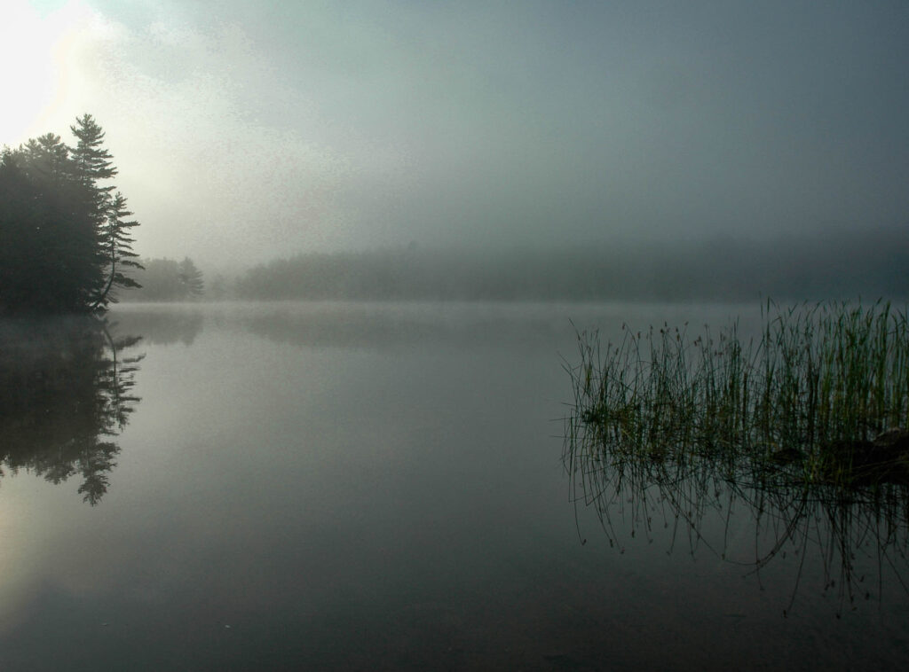 Mississauga River at the Catchacoma Lake put-in
