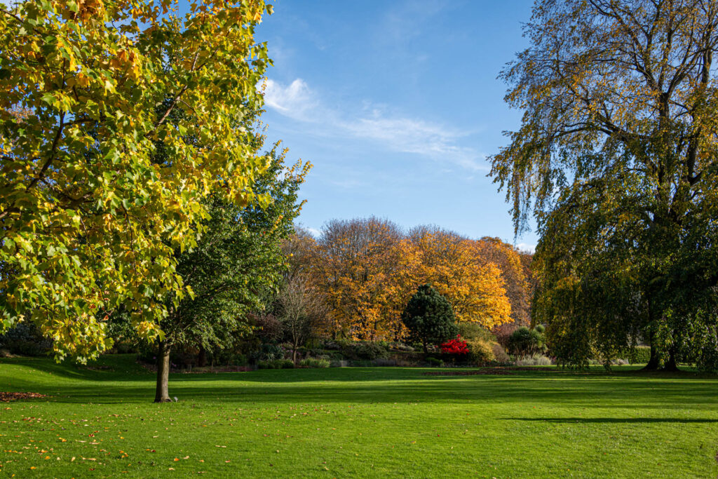 Grounds of Holyrood Palace