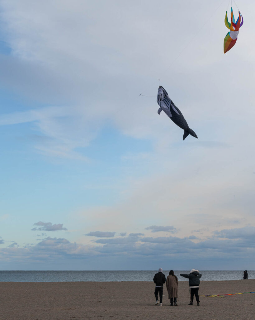 Flying kites at Woodbine Beach