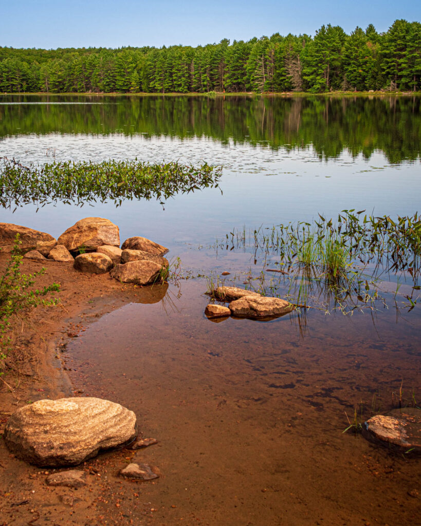Put-in at Bottle Lake