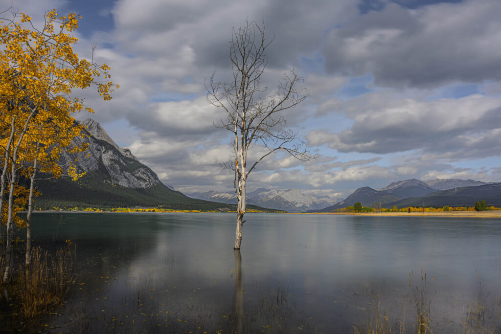 Abraham Lake