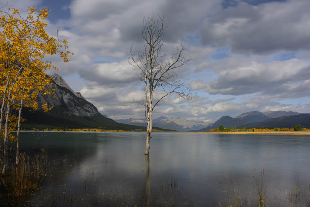 Abraham Lake