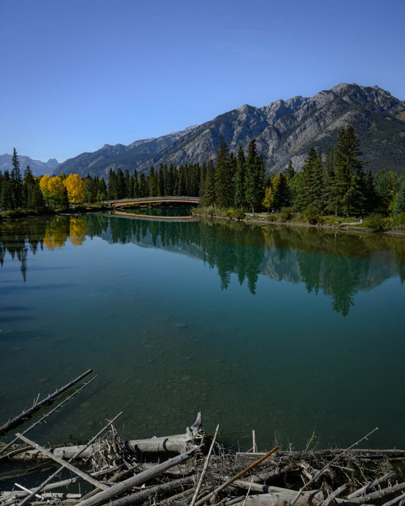 Bow River - town of Banff