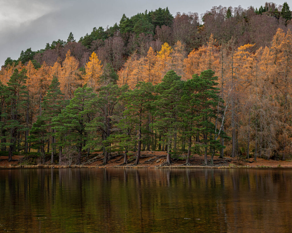 Loch an Eilein - Cairngorms NP