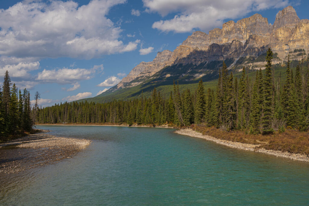 The Bow River at Castle Mountain