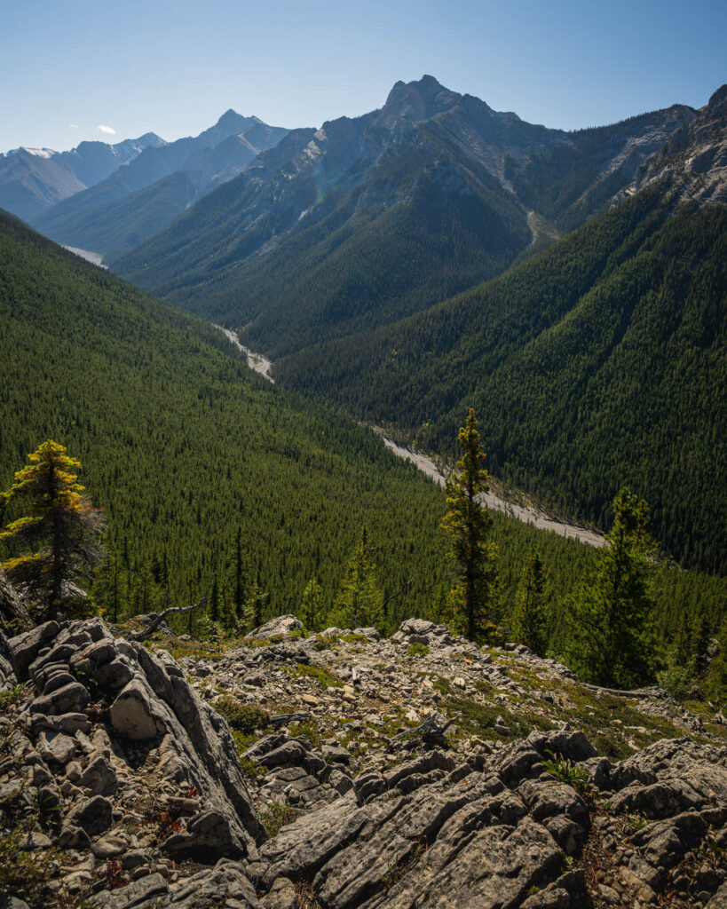 Wasootch Creek - Kananaskis